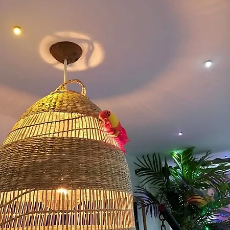 Wonder Guest house