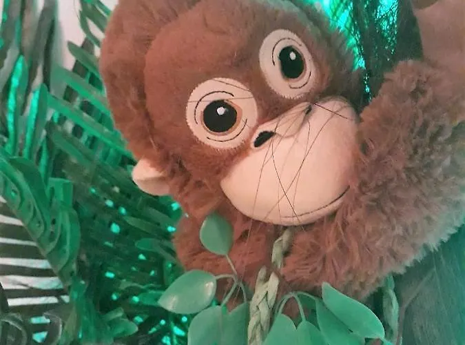 Wonder ゲストハウス ネルハ