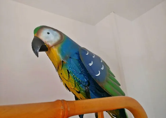 Guest house Wonder 3*