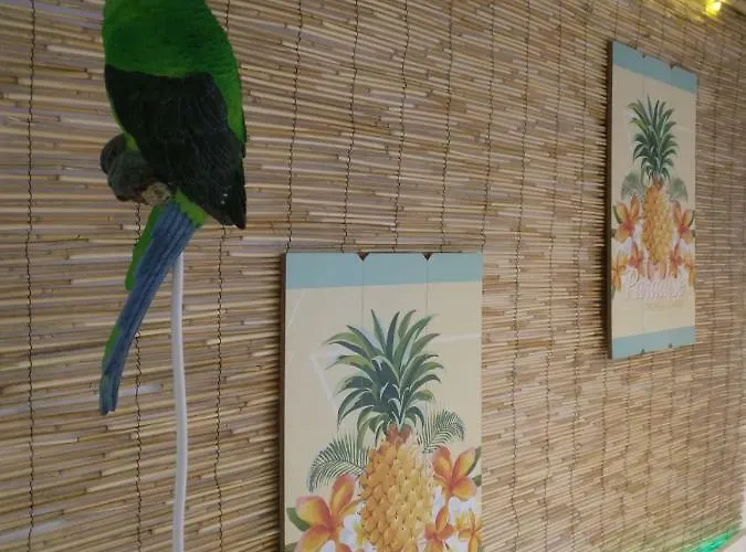 Guest house Wonder Nerja