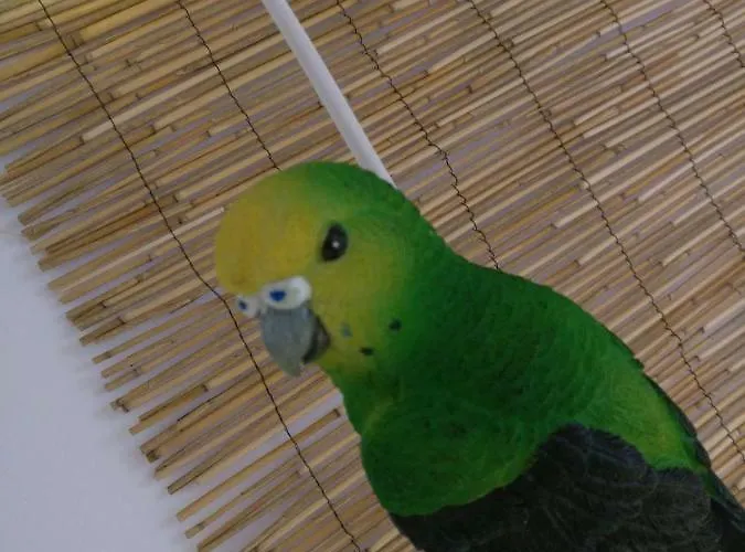 Wonder ゲストハウス