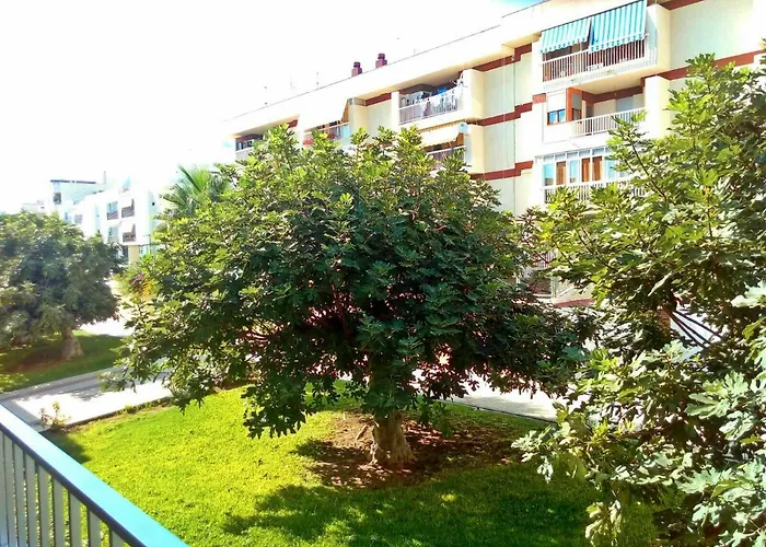 Guest house Wonder 3*